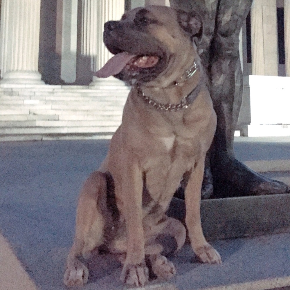 Meet your Posher, Sherman